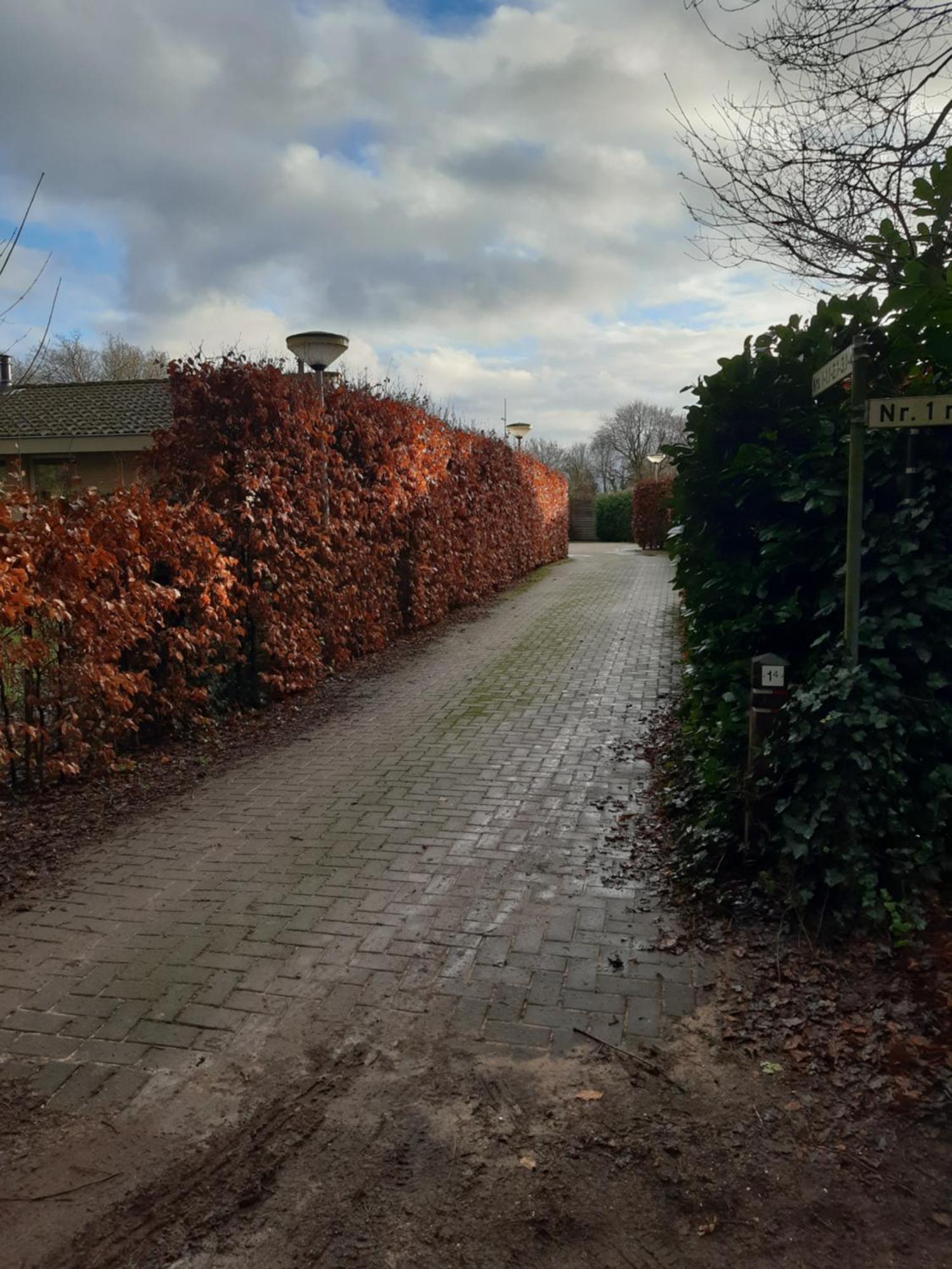 Huinerhofje 2 - Vrijstaand Met Grote Omheinde Tuin, Rust, Privacy En Nabij Bossen Villa Putten Exterior photo